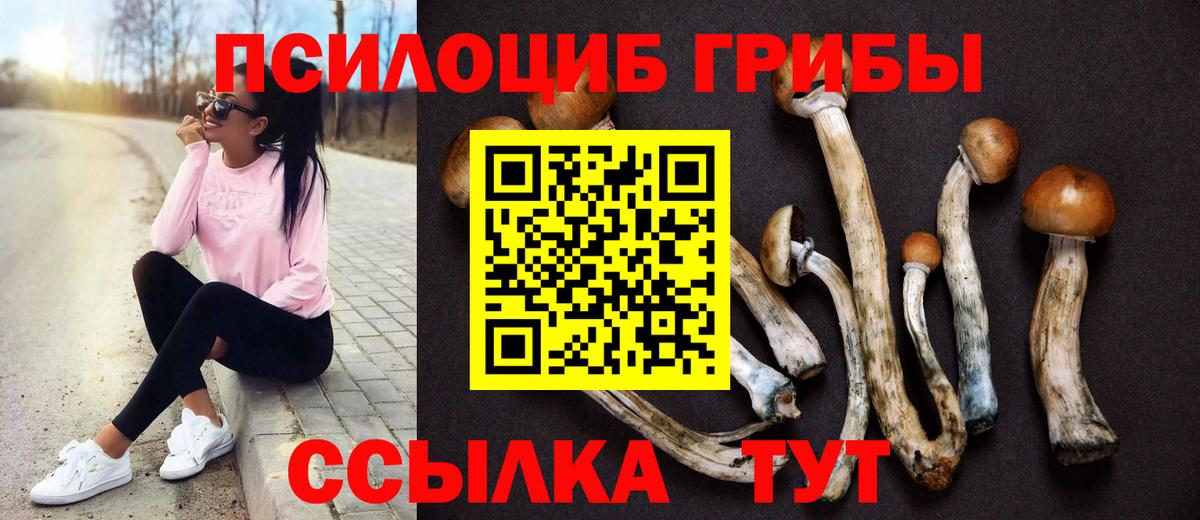 Крымск  сколько стоит  Псилоцибиновые грибы мухоморы  Вход с VPN  Галлюциногенные грибы мицелий 