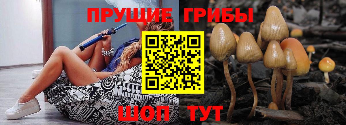 Псилоцибиновые грибы ЛСД Крымск